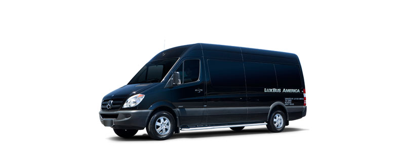 Sprinter or Van